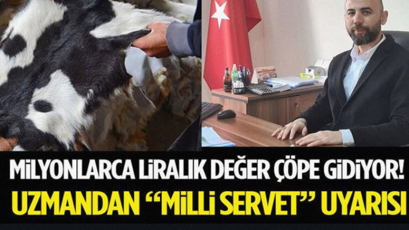Milyonlarca Liralık Değer Çöpe Gidiyor! Uzmandan “Milli Servet” Uyarısı