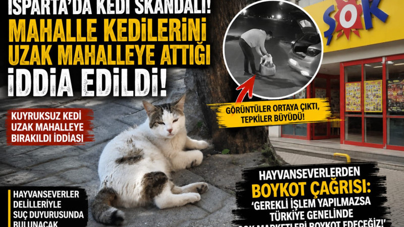 ISPARTA’DA SOKAK KEDİSİ İDDİASI TEPKİ ÇEKTİ