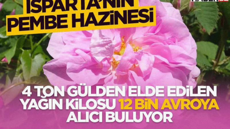 Kilosu 12 bin avroya alıcı buluyor