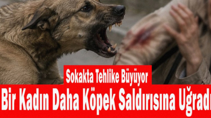 Sokakta Tehlike Büyüyor: Bir Kadın Daha Köpek Saldırısına Uğradı