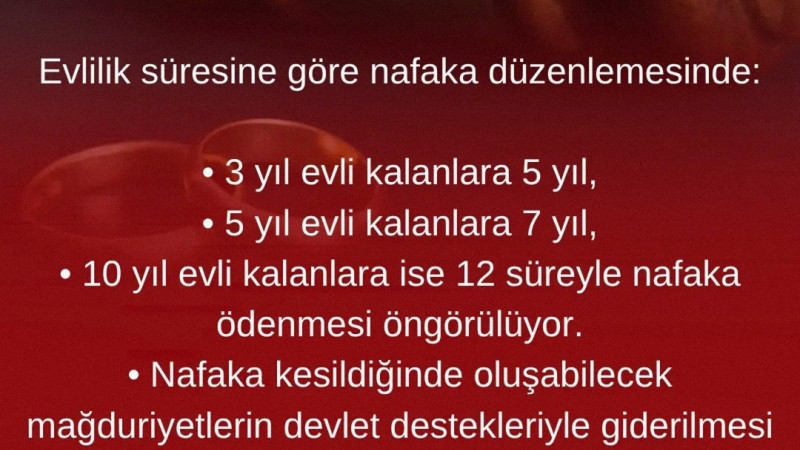 Nafaka için yapılacak yeni düzenlemede 3 model gündemde: