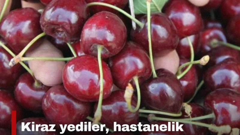 Kastamonu'nun Tosya ilçesinde kiraz yedikten sonra rahatsızlanan 63 yaşındaki Ahmet Derin ile eşi Ra