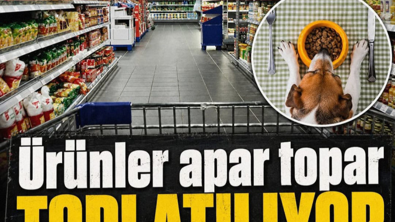  ABD'de Albright's Raw Pet Food tarafından üretilen tavuklu çiğ köpek mamasının belirli bir partisi,
