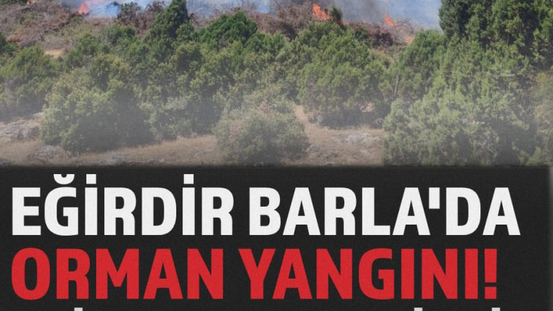 Eğirdir Barla’da Orman Yangını! Ekipler Bölgeye Sevk Edildi