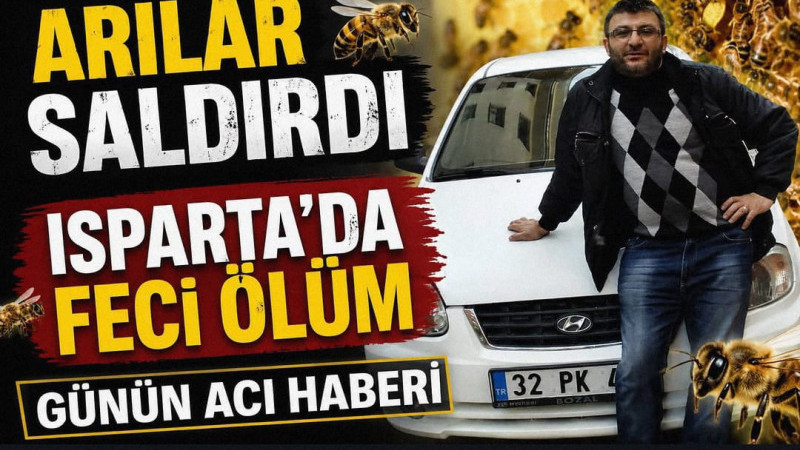 Davraz Mahallesinde eşek arılarını uzaklaştırmak isteyen 51 yaşındaki mobilya ustası 1 haftalık yaşa