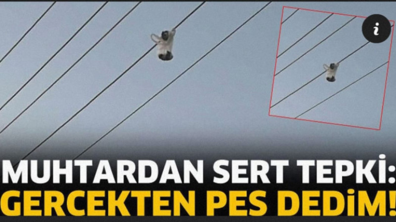 Muhtar Bardak'tan tepki: Bugün gerçekten pes dedim