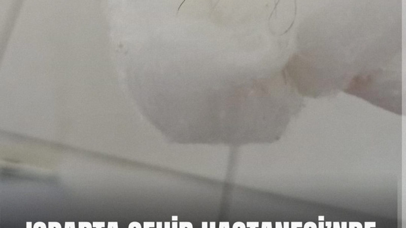 Isparta Şehir Hastanesi’nde yaşandığı öne sürülen olay, hijyen konusunda soru işaretlerine neden old