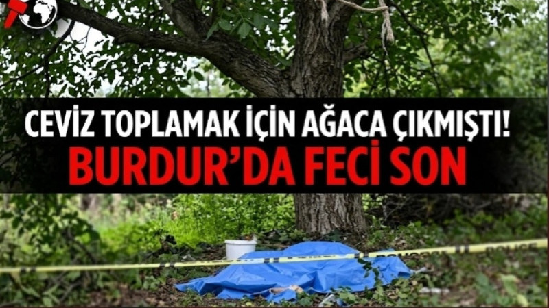 Ceviz Toplamak İçin Ağaca Çıkmıştı! Burdur’da Feci Son