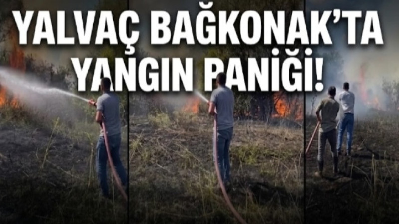 Yalvaç Bağkonak’ta Yangın Paniği! Ekipler Alevlere Müdahale Ediyor