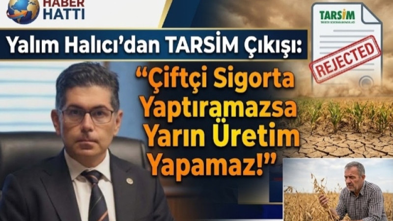 Yalım Halıcı’dan TARSİM Çıkışı