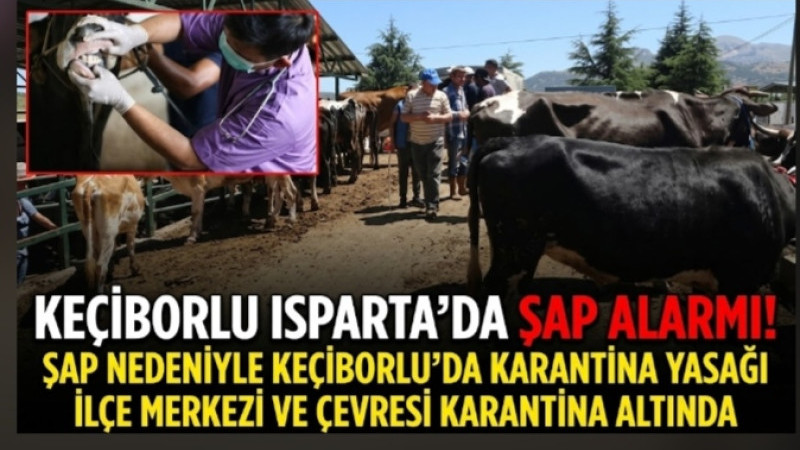 Isparta’da Şap Alarmı! Keçiborlu’da 7 Köy ve İlçe Merkezi Karantinada