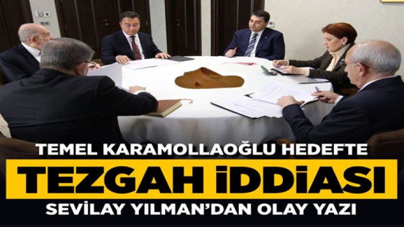Sevilay Yılman'dan Meral Akşener'e karşı tezgah kuruldu iddiası 
