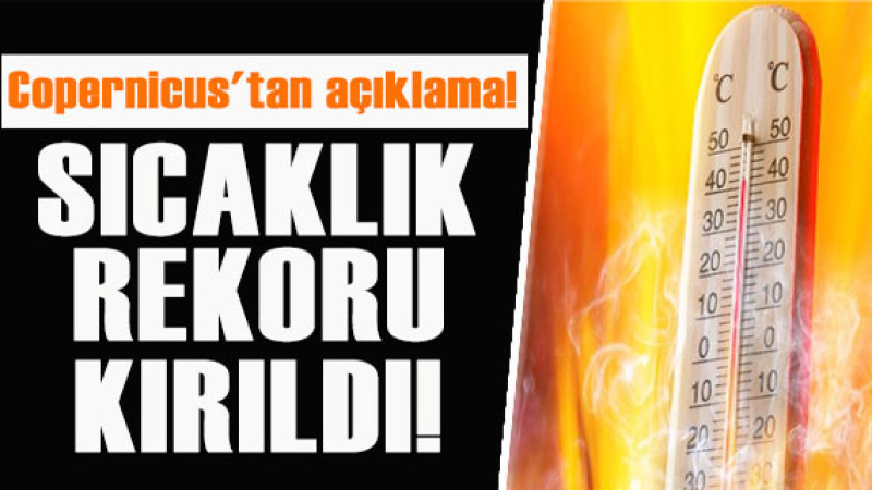 Küresel ısınma durmuyor: Geçen ay tarihin en sıcak ocak ayı oldu!