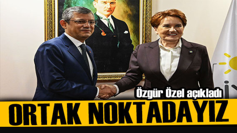 Meral Akşener ve Özgür Özel'den Beklenen Hamle: Emekliler İttifakı'nda Birleşme Vaadi