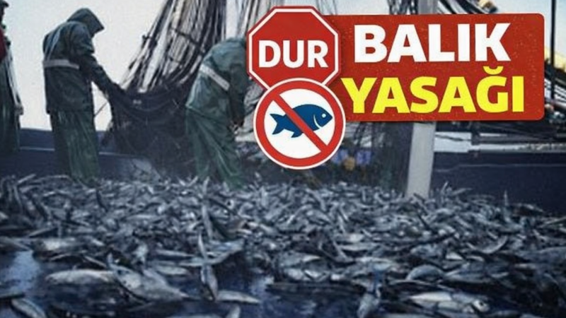 Beyşehir Gölü  ve iç sularda  Kritik Uyarı: Av Yasağı Devam Ediyor!