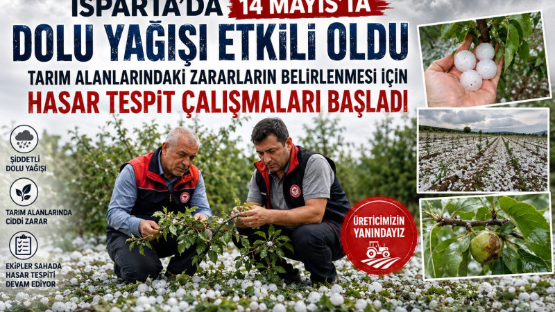 Isparta’da 14 Mayıs tarihinde etkili olan dolu yağışının ardından tarım alanlarında meydana gelen za
