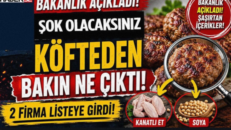 Bakanlık Açıkladı! Köfteden Çıkan İçerikler Şaşırttı