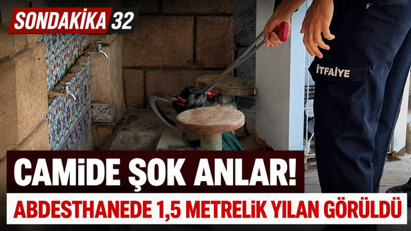 Camide Şok Anlar! Abdesthanede 1,5 Metrelik Yılan Görüldü
